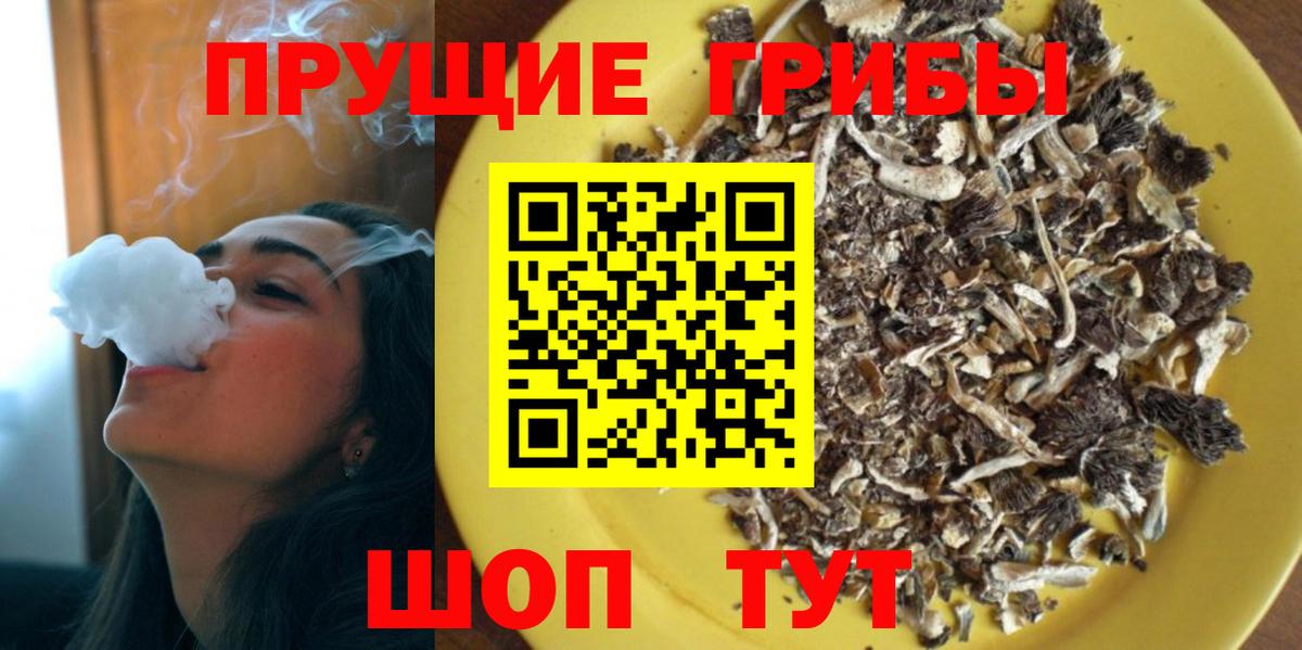 Псилоцибиновые грибы MAGIC MUSHROOMS  Галлюциногенные грибы Psilocybe  Вход с VPN  Великий Устюг 