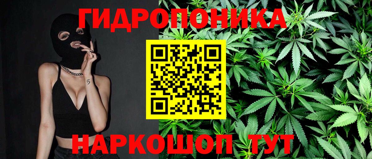 Марихуана планчик  Марихуана сатива  Канабис ГИДРОПОН  Великий Устюг  Марихуана Bruce Banner  Вход с VPN 